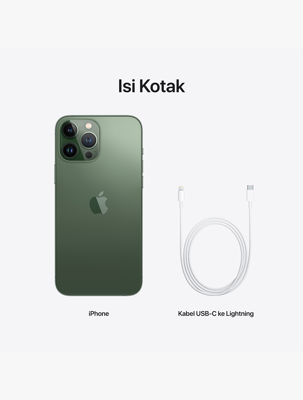 iPhone 13 Pro Max 256GB Alpine Green